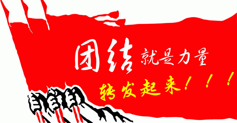 抱团!共赢!互生!托起! 大爱联盟-----合作电话13351987813