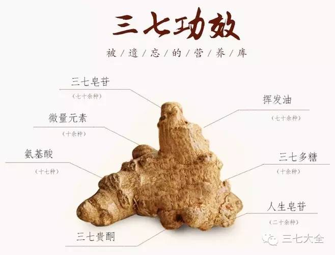 三七的功效可以用生打熟补四字概括