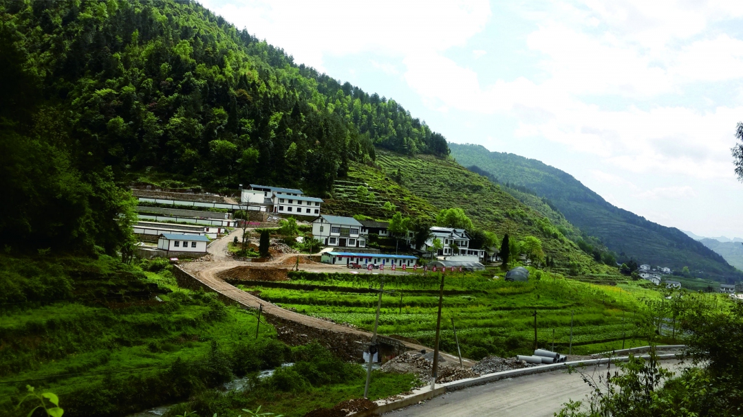 貴州綏陽縣沐心園豪豬養殖基地