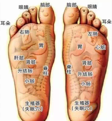 骨正基让人体在正确姿势的情况下运动,在正确的运动情况下获得健康